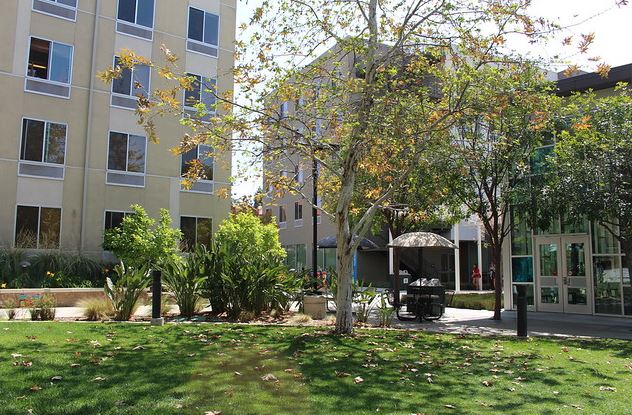 California State University Northridge