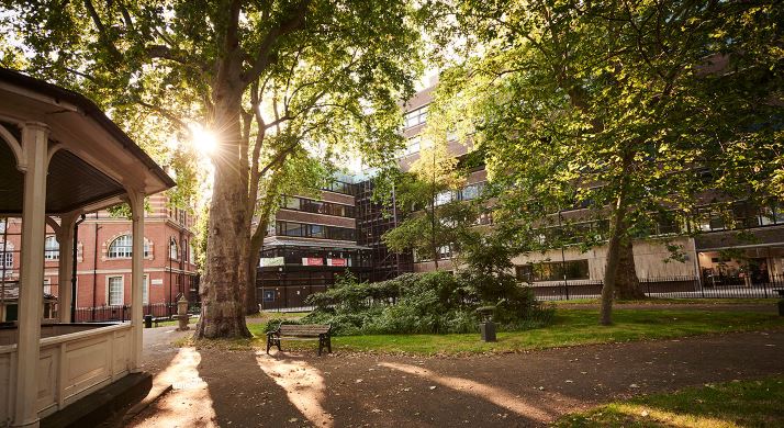 City University London