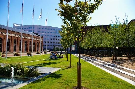 Jonkoping University