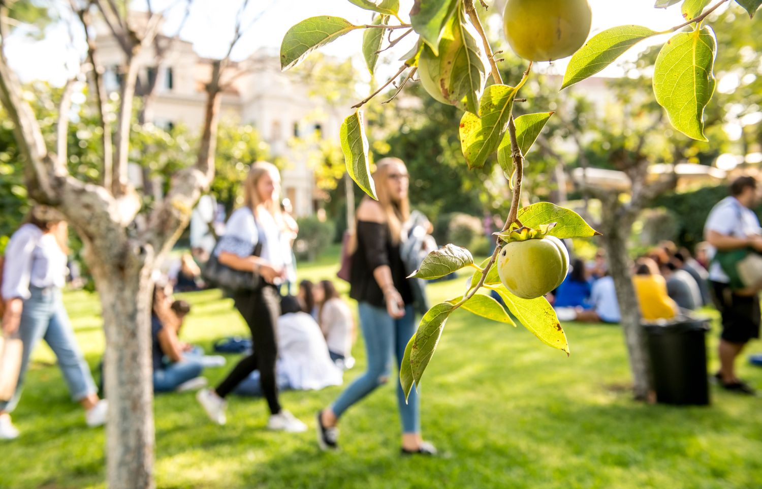 LUISS University – Rome