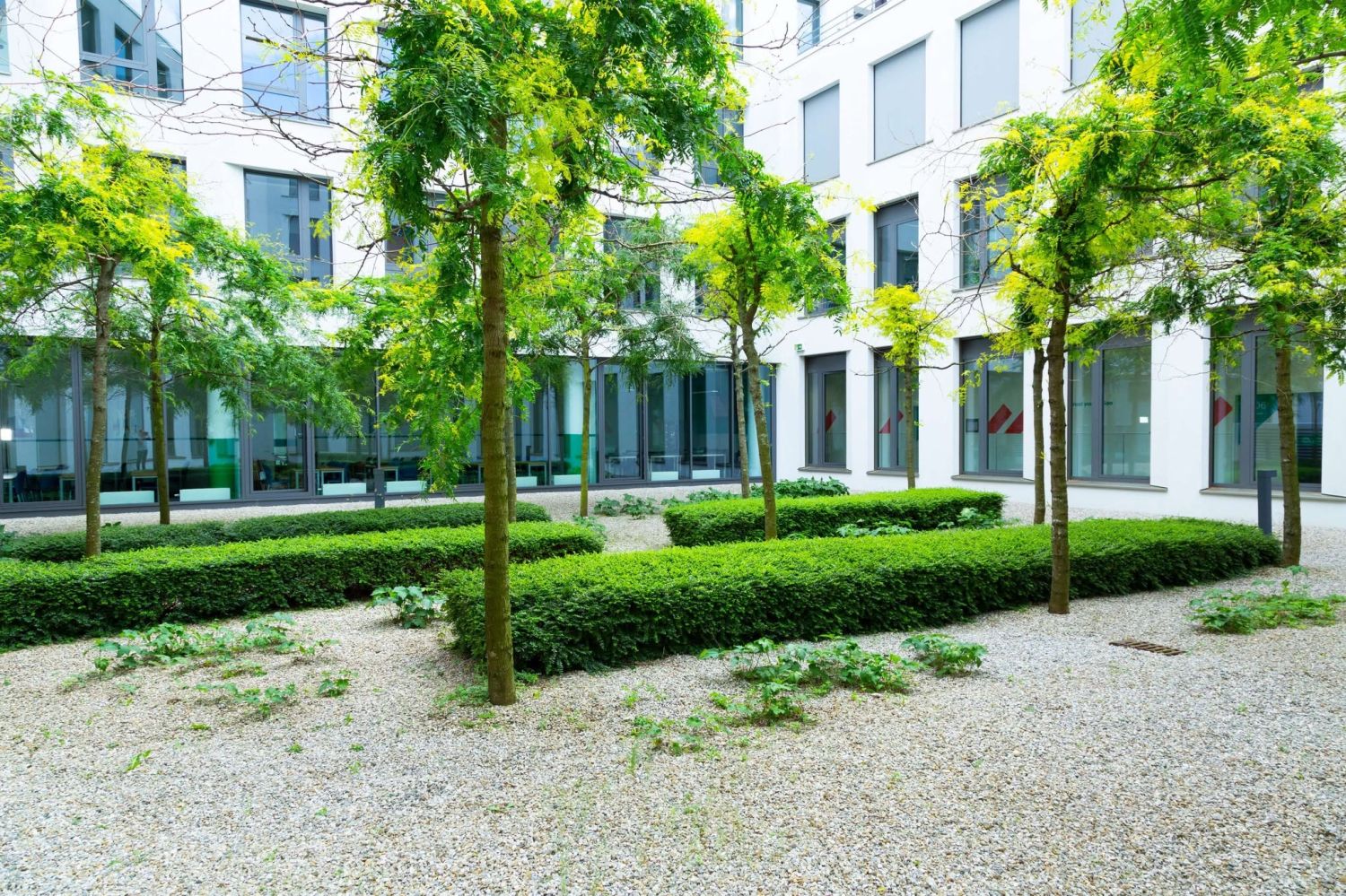 EU Business School